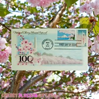 Cherry Blossom 100 Year of Issue Envelope